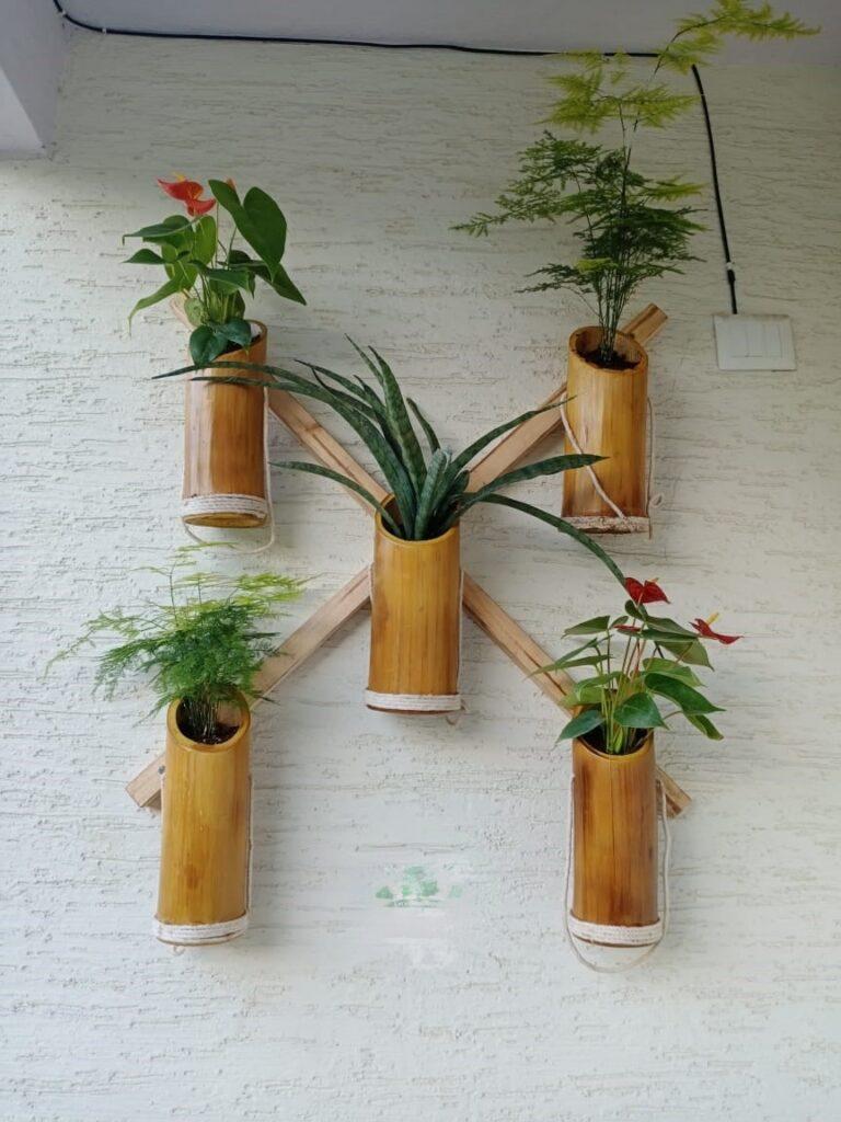 bamboo pots by bamboo creation