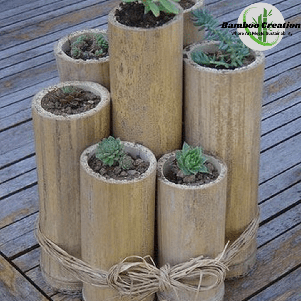 bamboo pots by bamboo creations