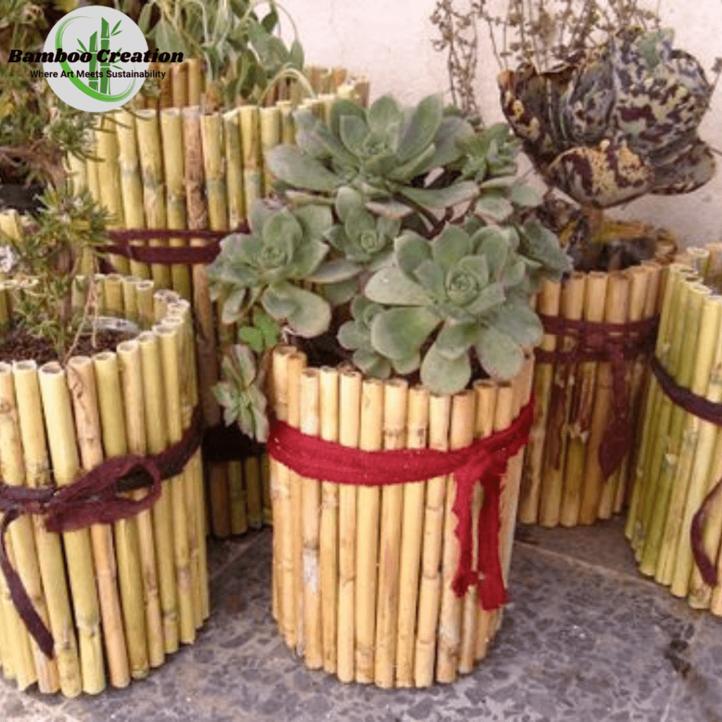 bamboo pots