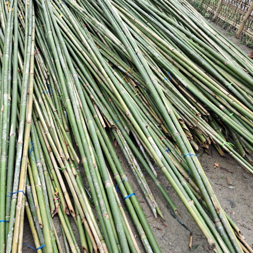 bamboo poles