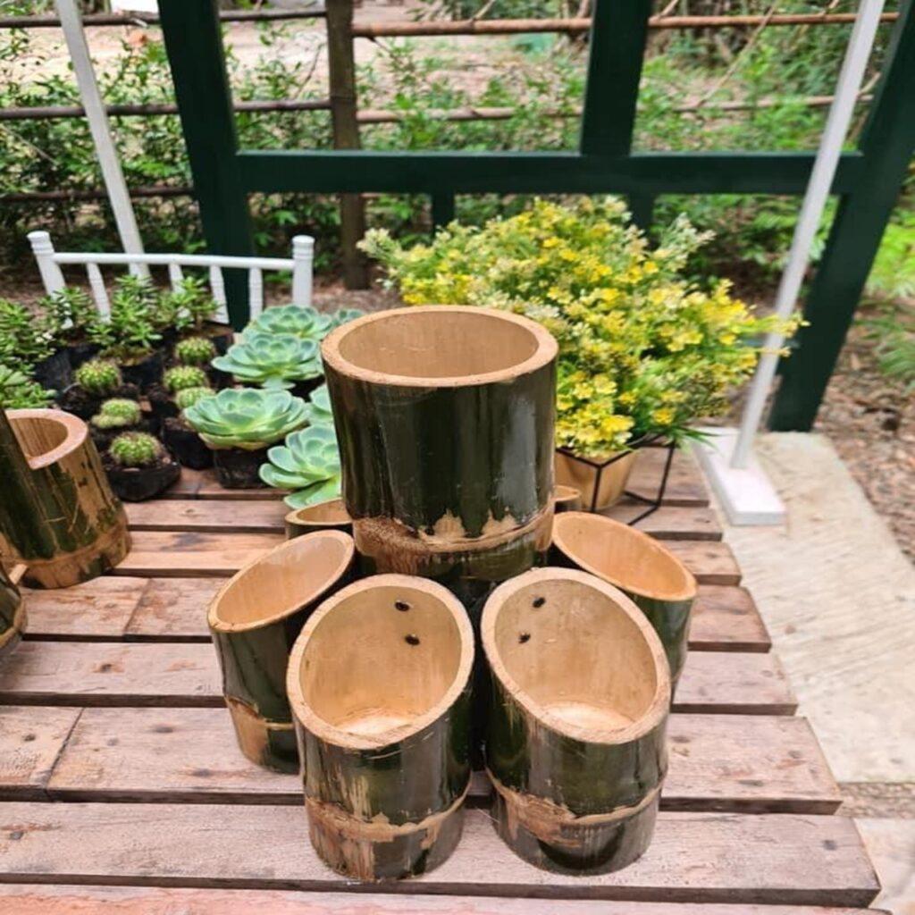 bamboo pots by bamboo creation